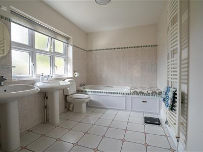 Picture 21